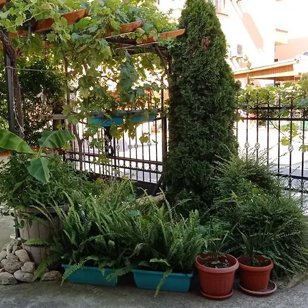 Desi House 101 Cozy Apartment Nesebar